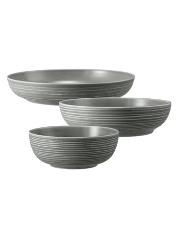 Seltmann Weiden 3er Set Foodbowl Set Terra in Perlgrau