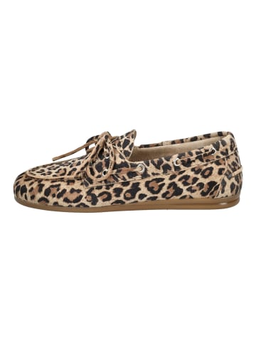 Pavement Halbschuhe MARIN Leopard
