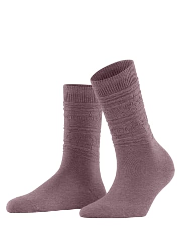 Falke Socken Monument in Dark mauve