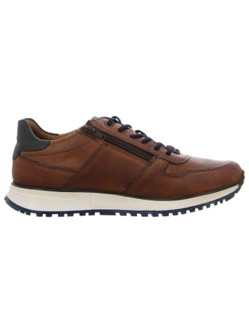 Bugatti Sneaker Low in braun