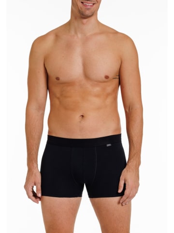 Haasis Bodywear 2er-Set: Pants in schwarz