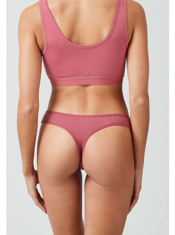 SNOCKS Tangas Mix (Apricot/Mauve/Schwarz) 3 Stück