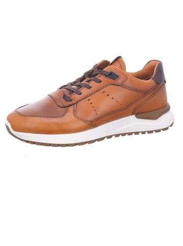 Ecco Schnürschuh in braun