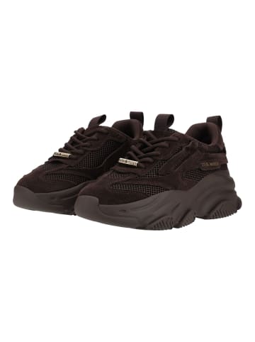 Steve Madden Sneaker POSSESSION-E in Chocolate