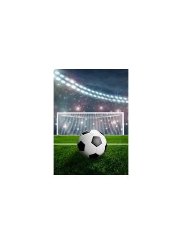 BrandMac Kuscheldecke Fußball in multicolor