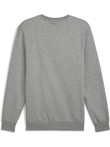 Puma Pullover "ESS No.1 Logo Crew FL" in Grau