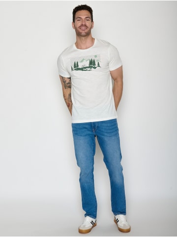 GreenBomb Spice Bike Mountain Pines in Moonstone