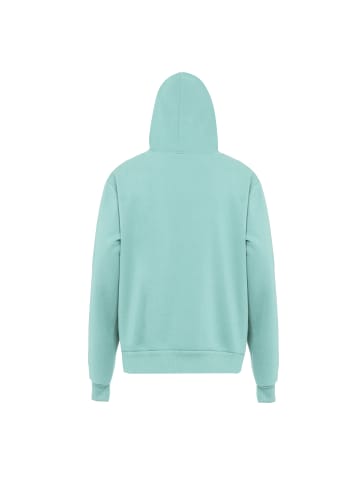 VINAJA Men Kapuzenjacke in Eisminze
