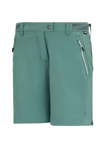 Regatta Mountain Shorts II Wanderhose in Ivy Moss