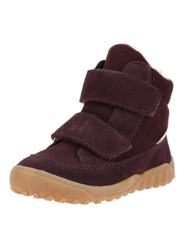 PEPINO Stiefelette DAVIS in Pflaume