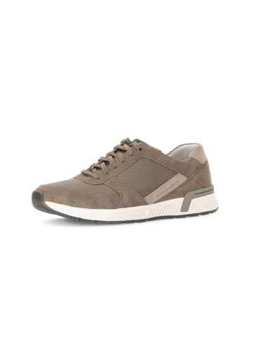 Pius Gabor Sneaker low in braun