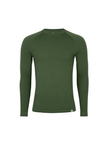 DANISH ENDURANCE Funktionsshirt Merino in green