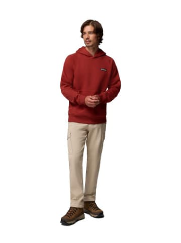 Columbia Sweatshirt in bunt