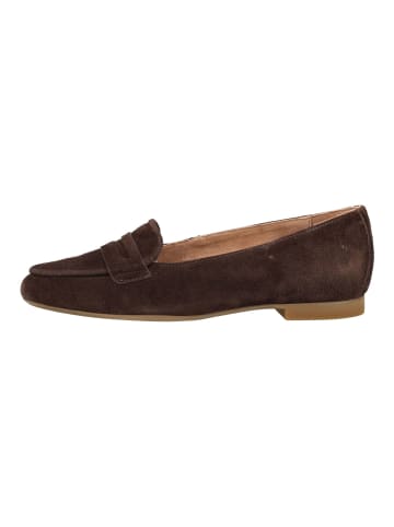 Paul Green Slipper in Dunkelbraun