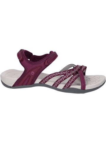 Hi-Tec Sandalen Savanna II in beere in beere
