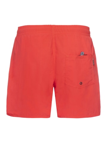 Protest " CULTURE JR in Sunburst