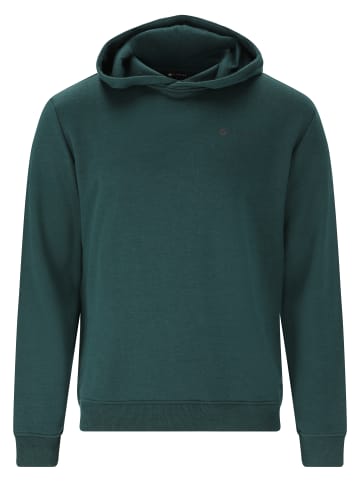 Virtus Sweatshirt Classic in 3200 Sea Moss