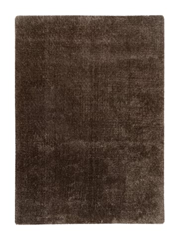 Vivorum Vivorum Neu 2026 Wohnzimmer Hochflor Teppich Seduction 125 taupe in taupe