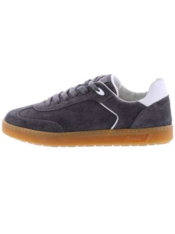 Sioux Lowtop-Sneaker Tedroso in catfish