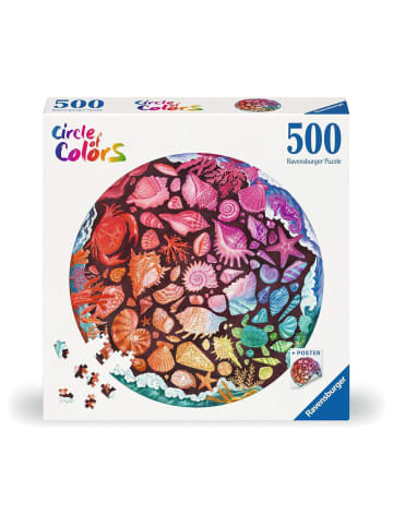 Ravensburger Puzzle 500 Teile 500 Teile - Muscheln 12-99 Jahre in bunt