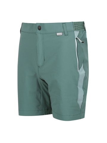 Regatta Mountain Shorts II Wanderhose in Grün