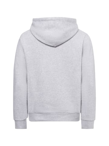 Jack & Jones Kapuzenpullover JJEcaleb in hellgrau - 0002