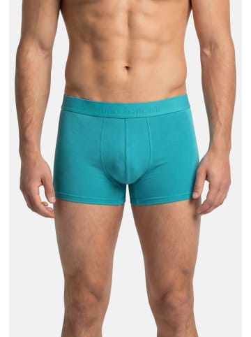 Bruno Banani Retro Short / Pant Flowing in Türkis / hellblau