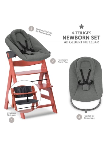 Hauck Alpha Plus Cork 4-tlg. Newborn Set - Hochstuhl in rot