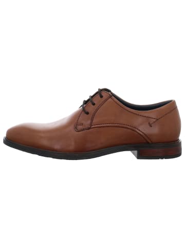 Josef Seibel Schnürschuh in braun