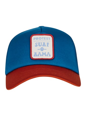 Protest " PRTCrab in Raku Blue