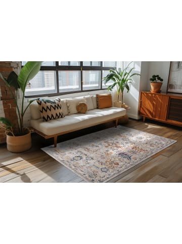 Vivorum Wohnzimmer Teppich – Kurzflorteppich Blazing Star 525 in multi