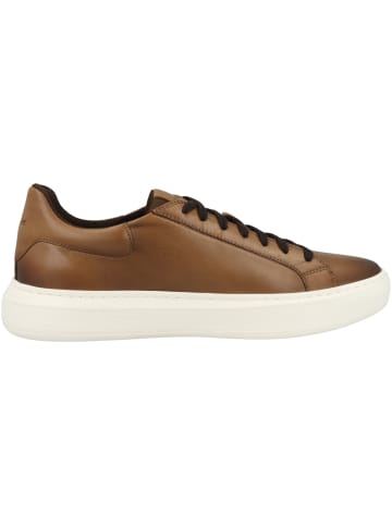 Geox Sneaker low U Deiven D in hellbraun