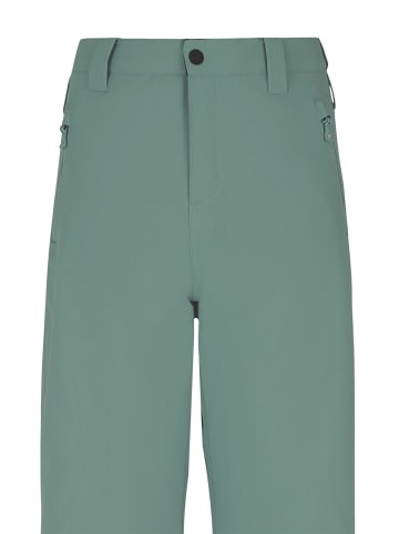 Protest " PRTSTERIO JR in Evergreen