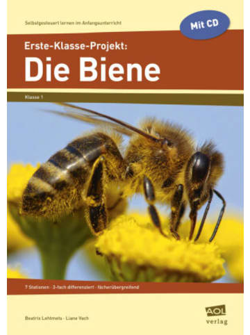 scolix Buch - Erste-Klasse-Projekt: Die Biene, m. 1 CD-ROM