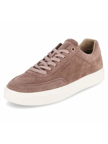 Calvin Klein Schnürhalbschuh in braun