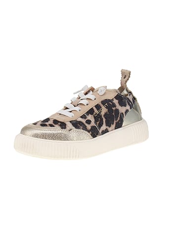 CRICKIT Sneaker low Oakli in Mehrfarbig