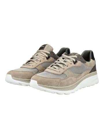 Geox Sneaker in Sand