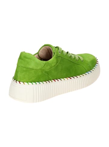 Gabor Sportliche Schnürschuhe in Grün