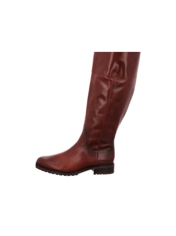 Gabor Langschaftstiefel in braun