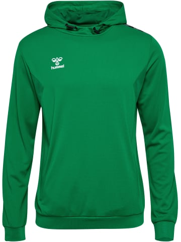 Hummel Hummel Kapuzenpullover Hmlauthentic Herren in JELLY BEAN