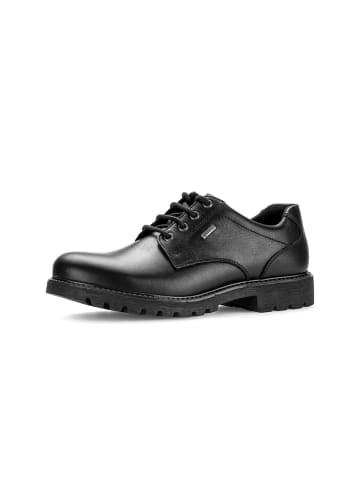 Pius Gabor Schnürschuhe in schwarz