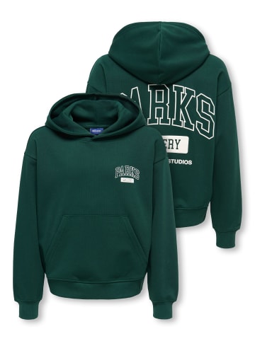 ONLY & SONS Junior Kapuzenpullover in Pine Grove