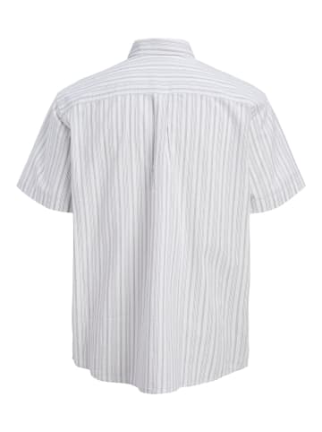 JACK & JONES Junior Hemd in Vetiver