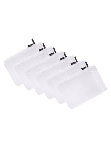 Vossen 6er Pack Waschhandschuh in weiss