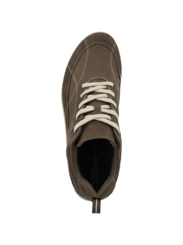 Ecco Sneaker low Exceed in dunkelbraun