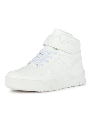 Geox Sneaker in Weiß