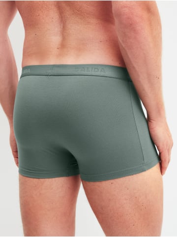 Calida New Boxer in laurel green