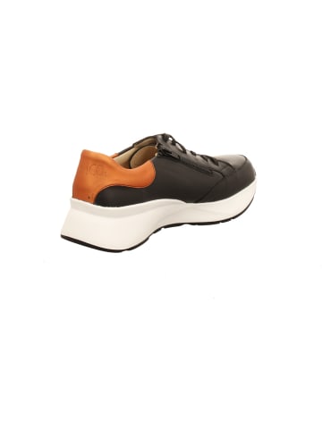 Finn Comfort Sneaker Low in schwarz