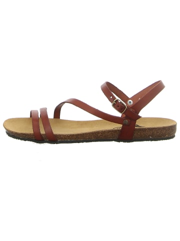Plakton Sandalen in braun