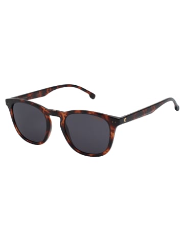 Carrera Sonnenbrille in Brown